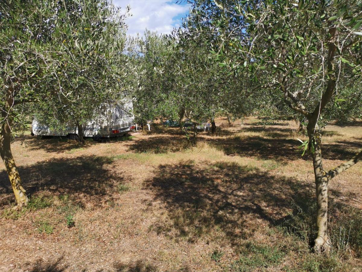 Jacuzi Cottage In The Olive Grove Pula Exterior foto