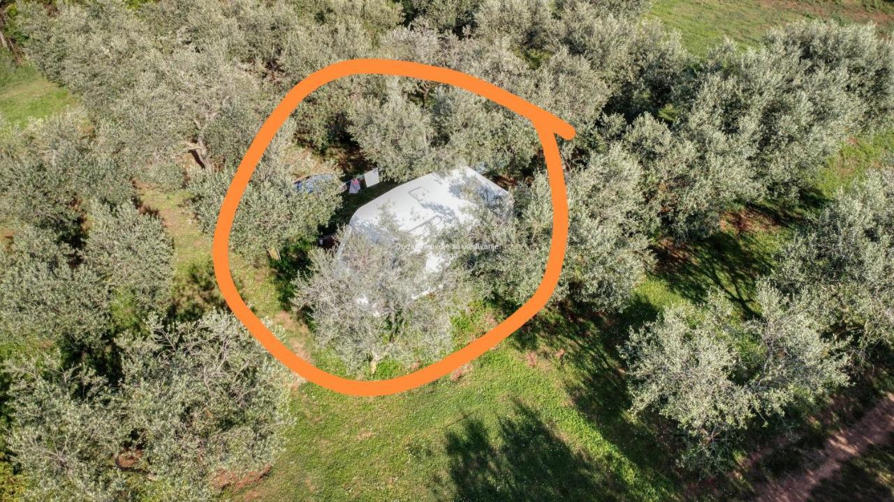 Jacuzi Cottage In The Olive Grove Pula Exterior foto