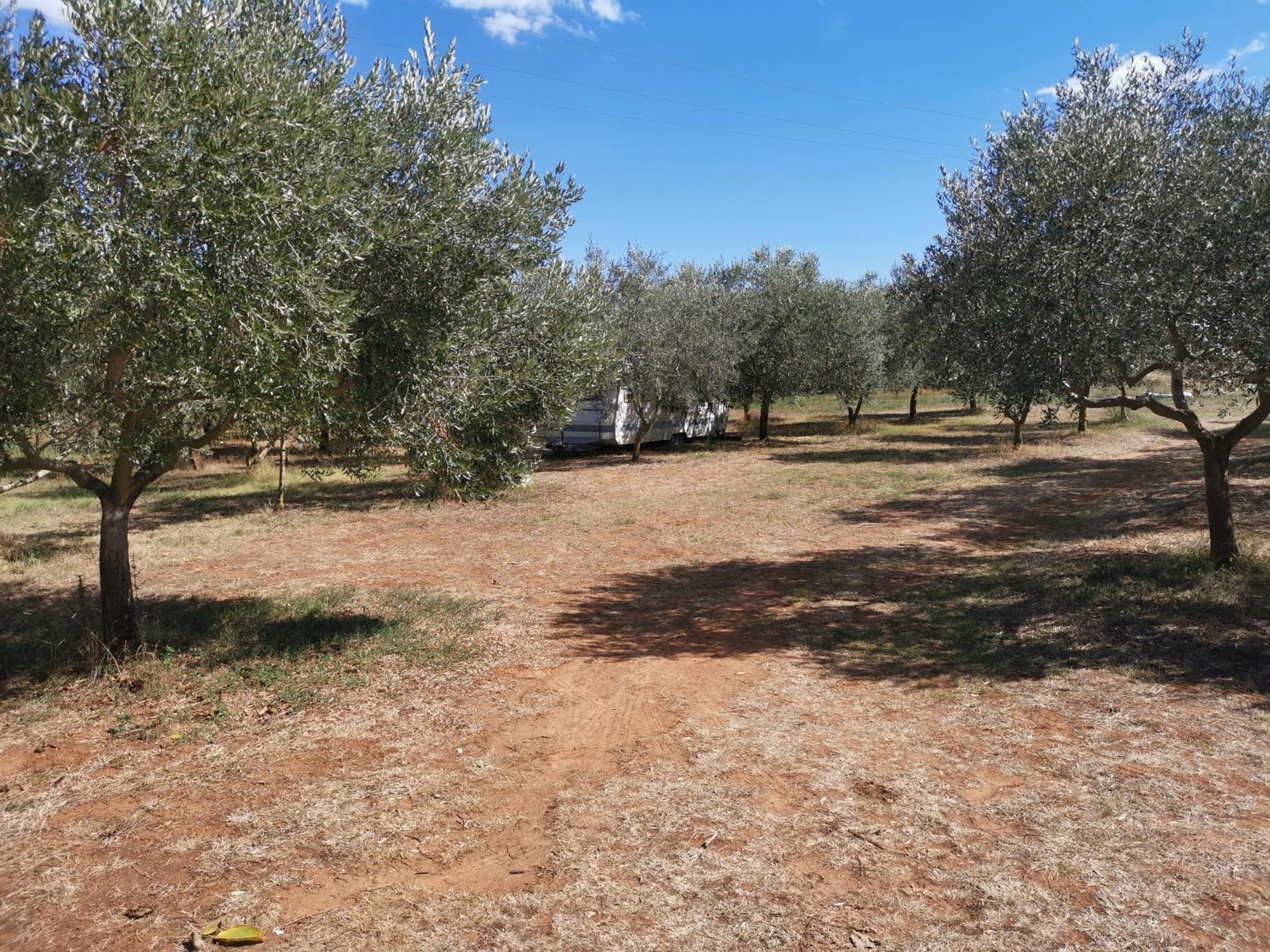 Jacuzi Cottage In The Olive Grove Pula Zimmer foto